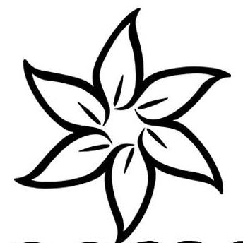 White Blossom Coffee Company