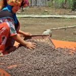woman with coffee beans