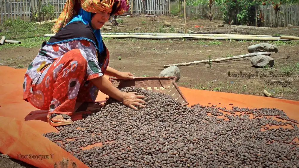 woman with coffee beans