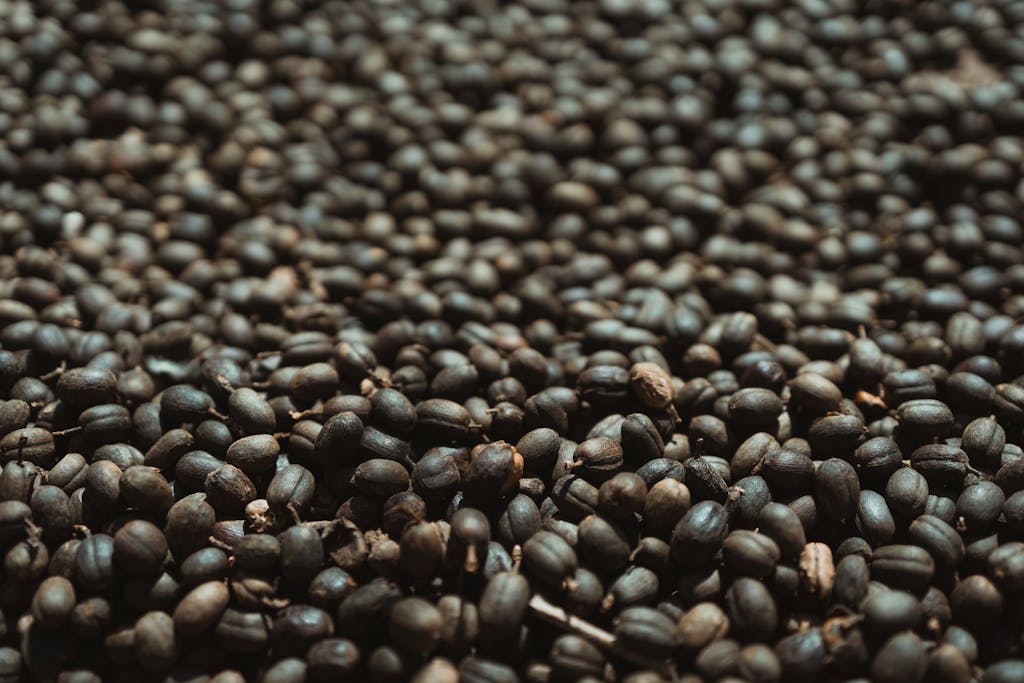 A detailed photograph of dried brown coffee beans, focusing on texture and natural hues.