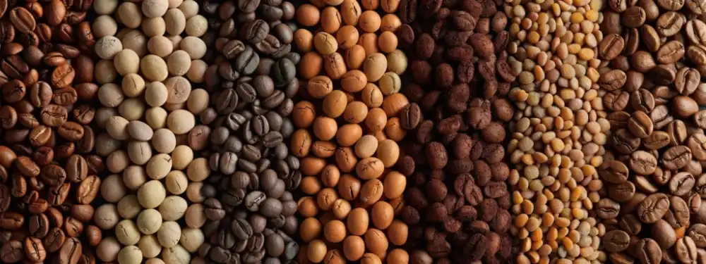 a close-up shot of various coffee beans in different shades of brown, showcasing their unique sizes and textures for roasting.