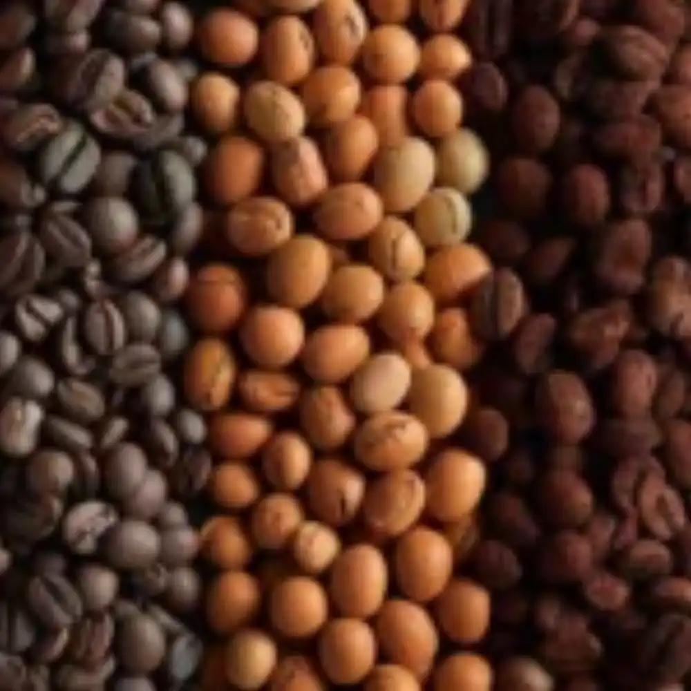 a close-up shot of various coffee beans in different shades of brown, showcasing their unique sizes and textures for roasting.