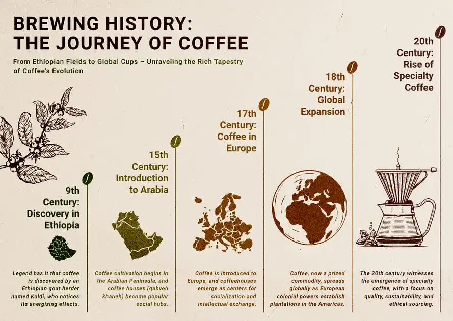 Coffee Evolution