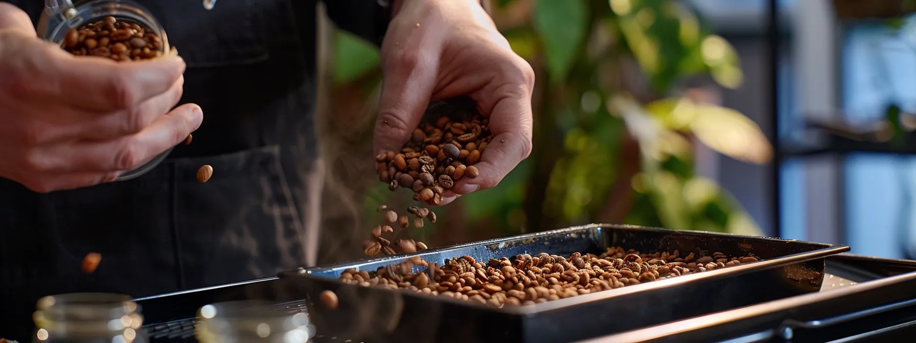 a person carefully transferring freshly roasted beans from a cooling tray into an airtight container.